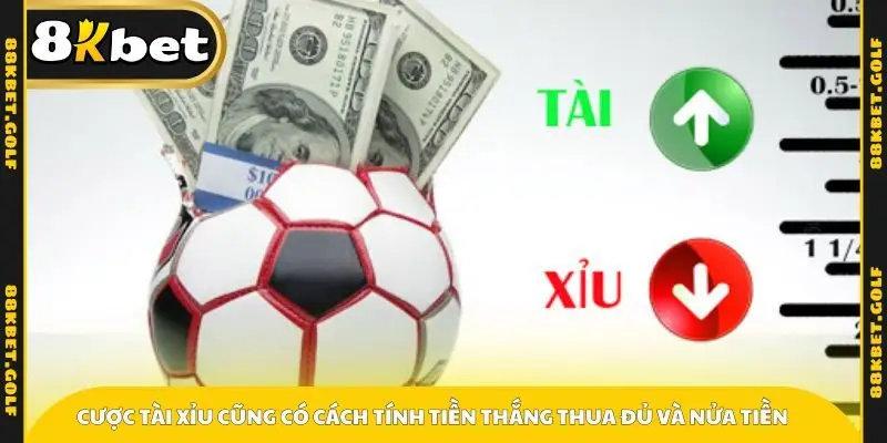 Cược tài xỉu cũng có cách tính tiền thắng thua đủ và nửa tiền