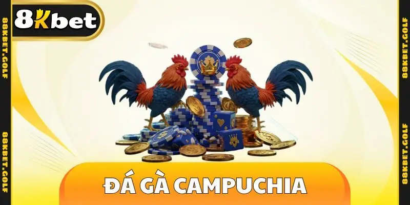 Đá gà campuchia