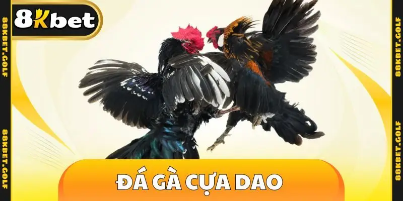 đá gà cựa dao