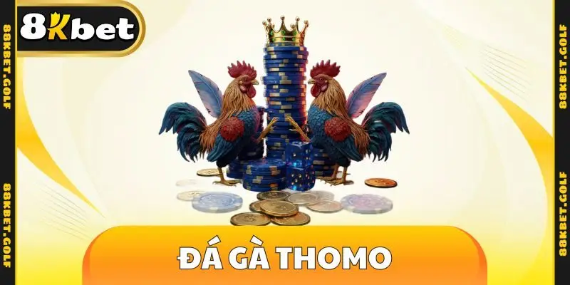Đá gà Thomo