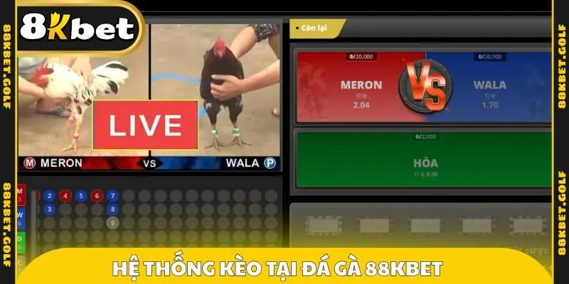 Hệ thống kèo tại đá gà 88KBET 