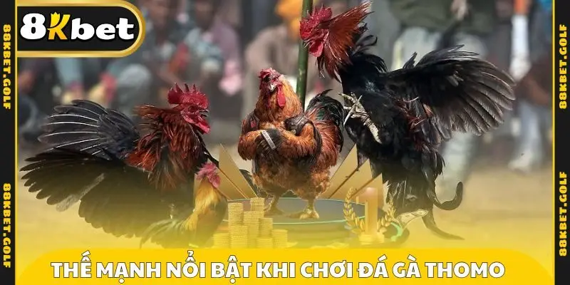 Thế mạnh nổi bật khi chơi đá gà Thomo